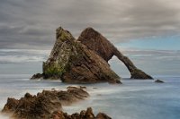 317 - BOW FIDDLE ROCK 6552 - SCHMIT JEAN-PAUL - luxembourg